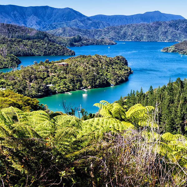 Queen Charlotte Track, NZ Inspired Adventures