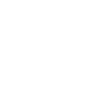 Icon-WHITE-MoneyRaised