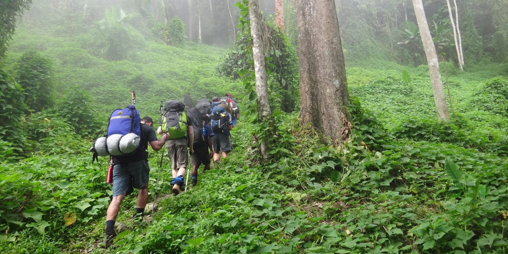 Trekkers hiking through lush, misty forest on the Kokoda Track