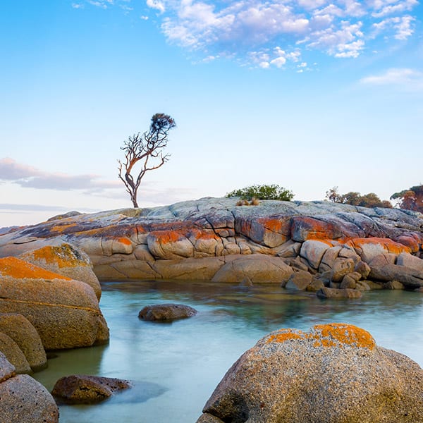 Large boulders tinged with bright orange are sitting above water under a blue sky - Bay of Fires, Tasmania