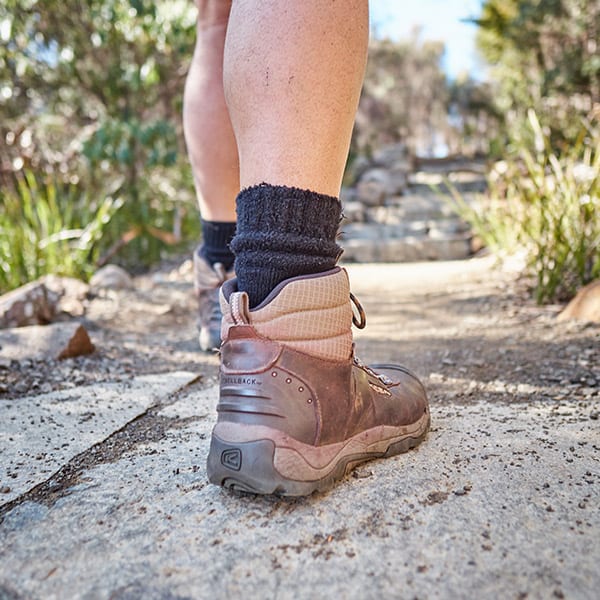Low view of hiking boots along a trail