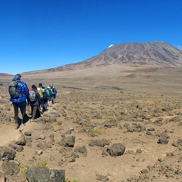 Trekkers walking single file towards Mount Kilimanjaro