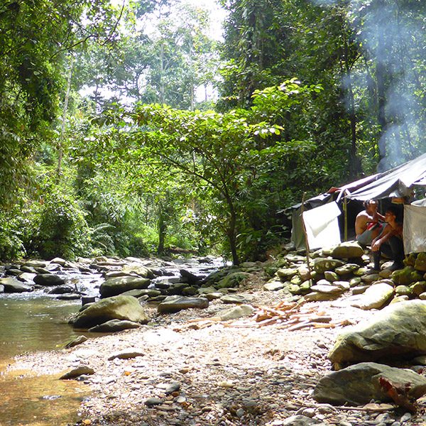 Hut next to creek in lush rainforest, Sumatra