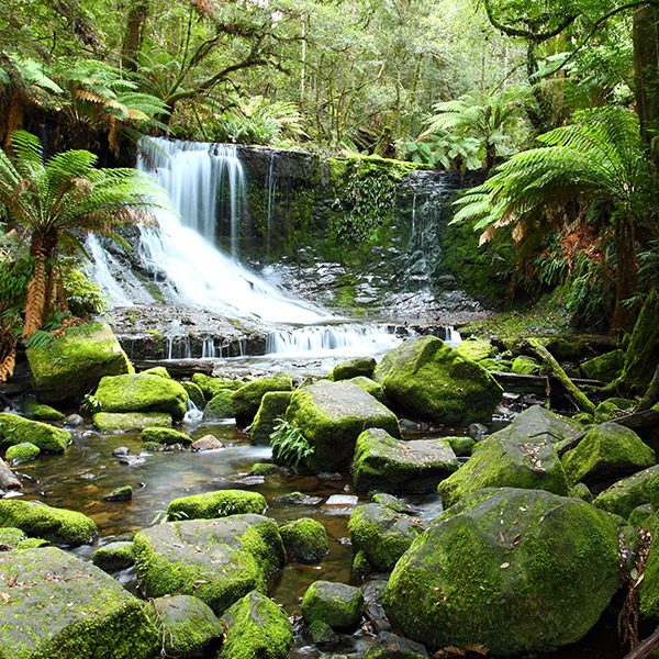 Russell Falls in the Tarkine, Tasmania