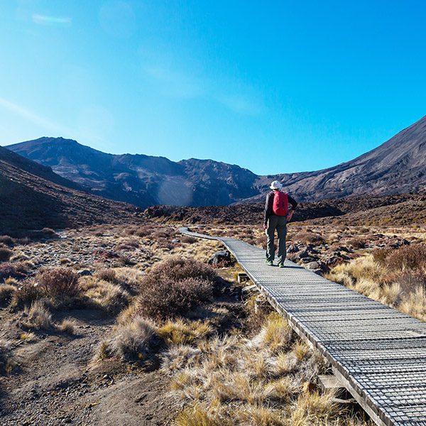 Trekker following a boardwalk towards the volcanoes, Tongariro Crossing, New Zealand