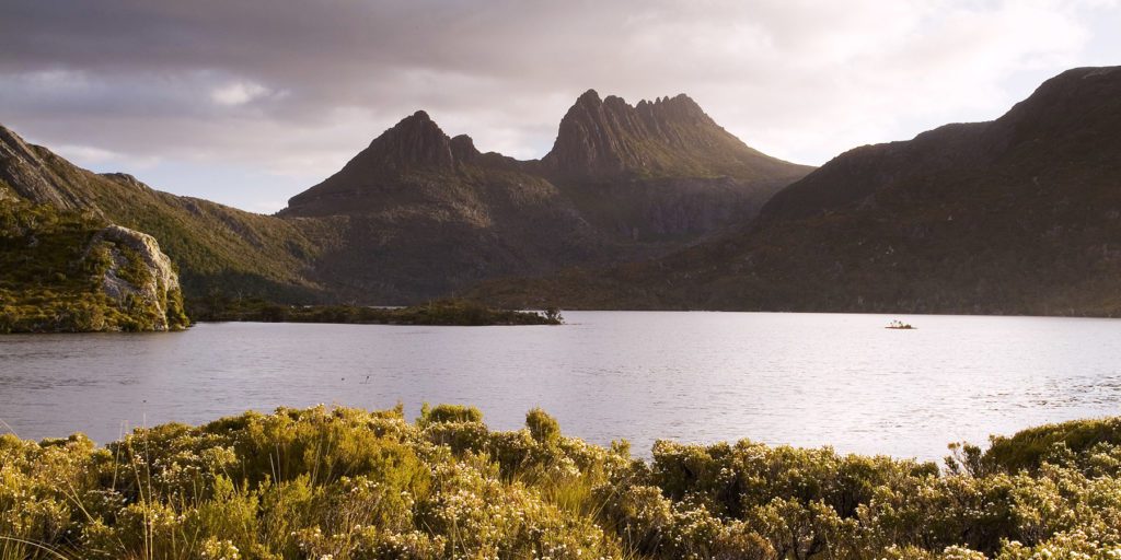Cradle mountain in the distance, with a still lake in front. Tasmania