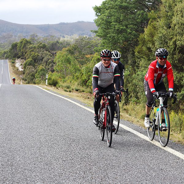 Cyclists on the side of a highway, Launceston to Hobart Tasmania