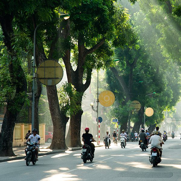 Motorbikes going up and down a tree-lined street with sunlight streaming through. Hanoi Vietnam