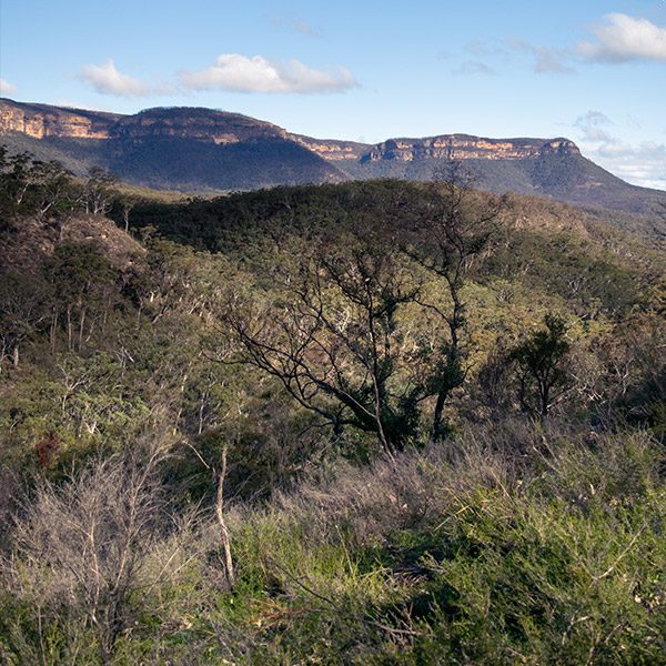 Megalong Valley, Blue Mountains