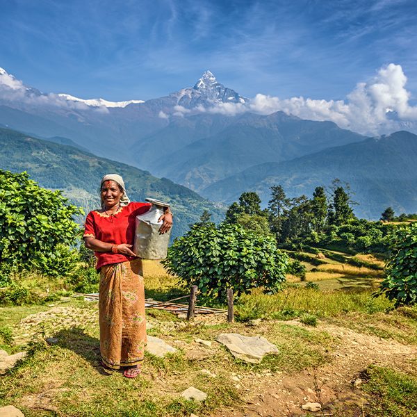 nepal-600x600-5