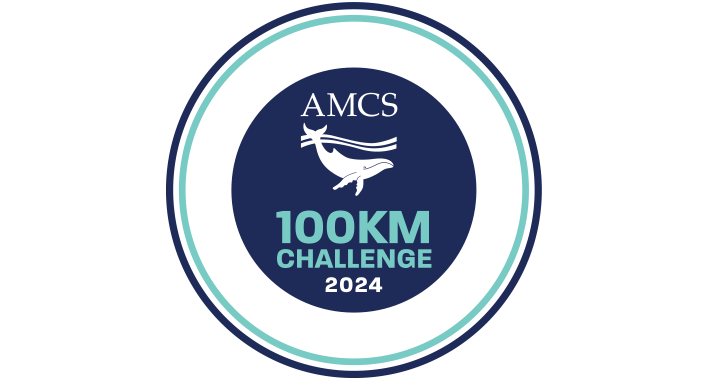 AMCS Great Ocean Walk 2024