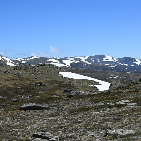 Thank You Paralympics Australia Mount Kosciusko 2024 Inspired   CalendarHero 600px 2 