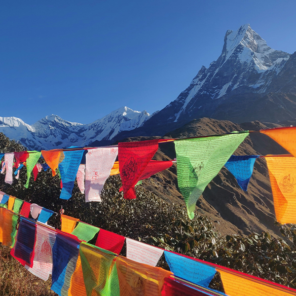 sanjay-hona-unsplash Mardi Himal Base Camp, Lumle, Nepal