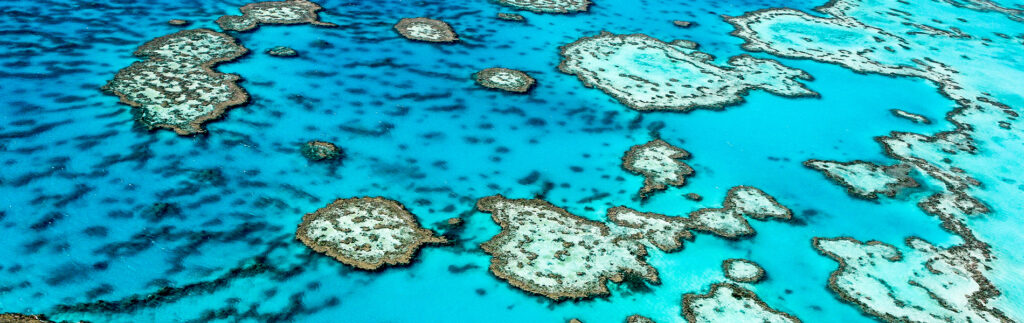 Great barrier reef, QLD