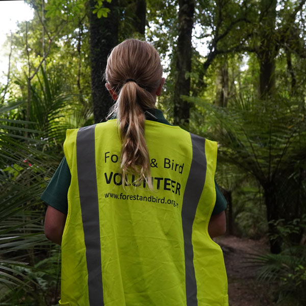 Forest and Bird NZ - Fiordland 2025