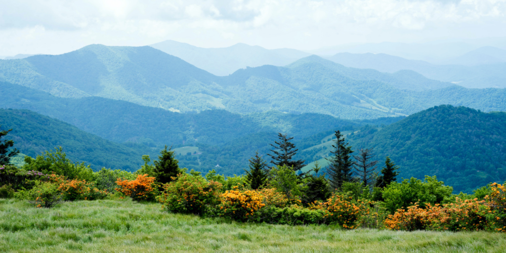 Shenandoah-National-Park-Feature-Image