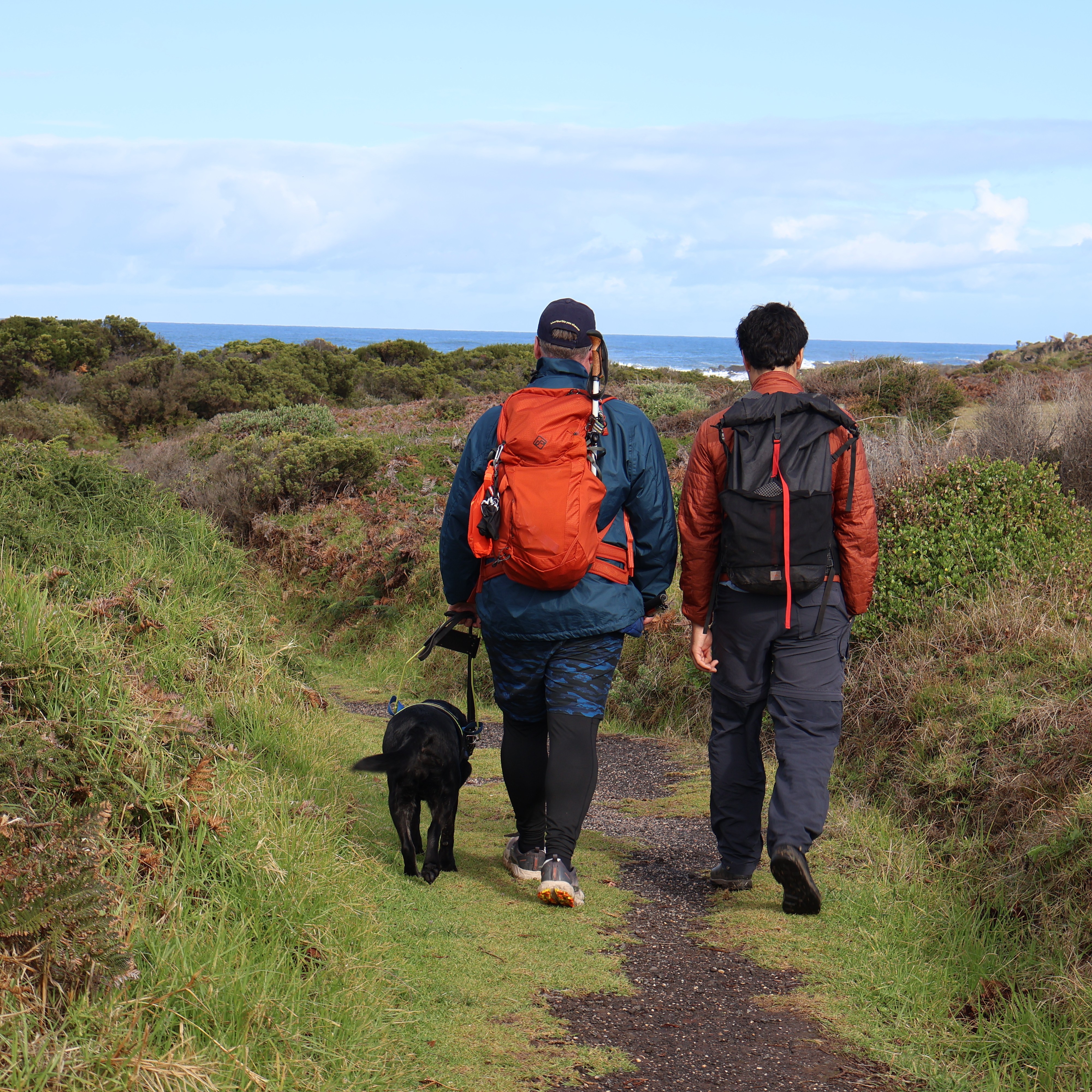 Vision Australia Client walks with his black Seeing Eye Dog along side a local guide at the Great Ocean Walk. Vision Australia Client walks with his black Seeing Eye Dog along side a local guide at the Great Ocean Walk.