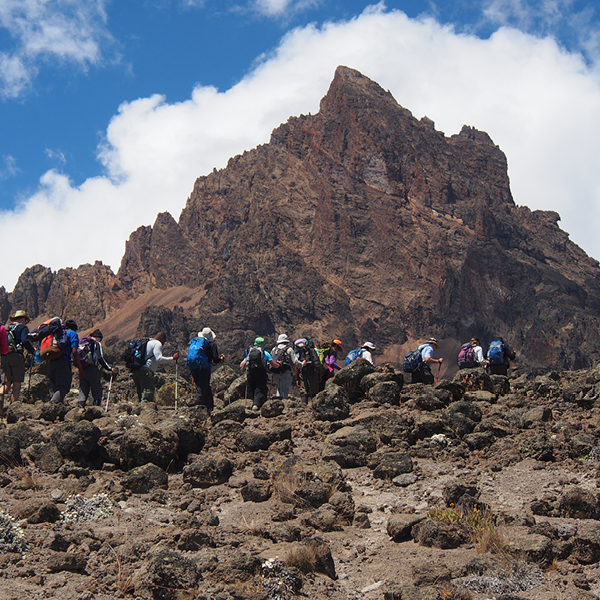 School of St Jude - Kilimanjaro 2026