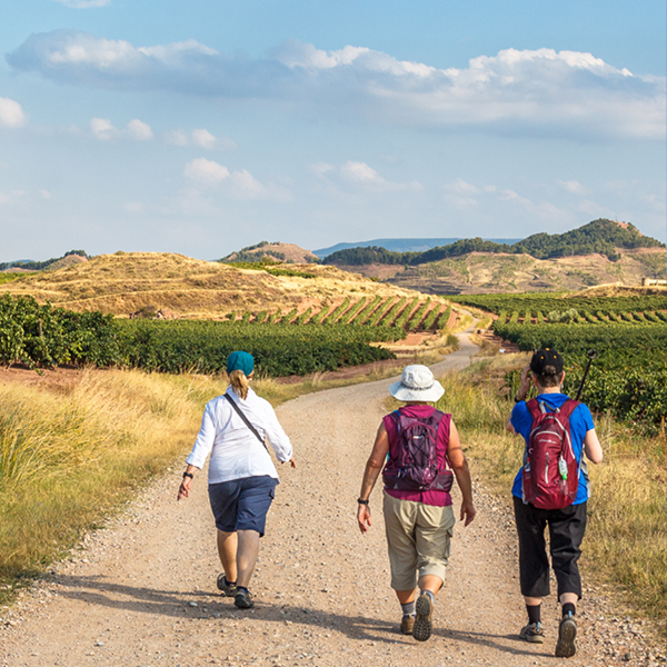 Camino
