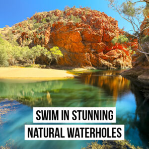 Trip-highlights2 WWF-Australia - Larapinta 2026