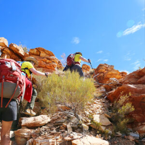 Yothu Yindi Foundation - Australian Outback Marathon 2026
