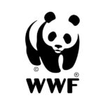 logo 600 7