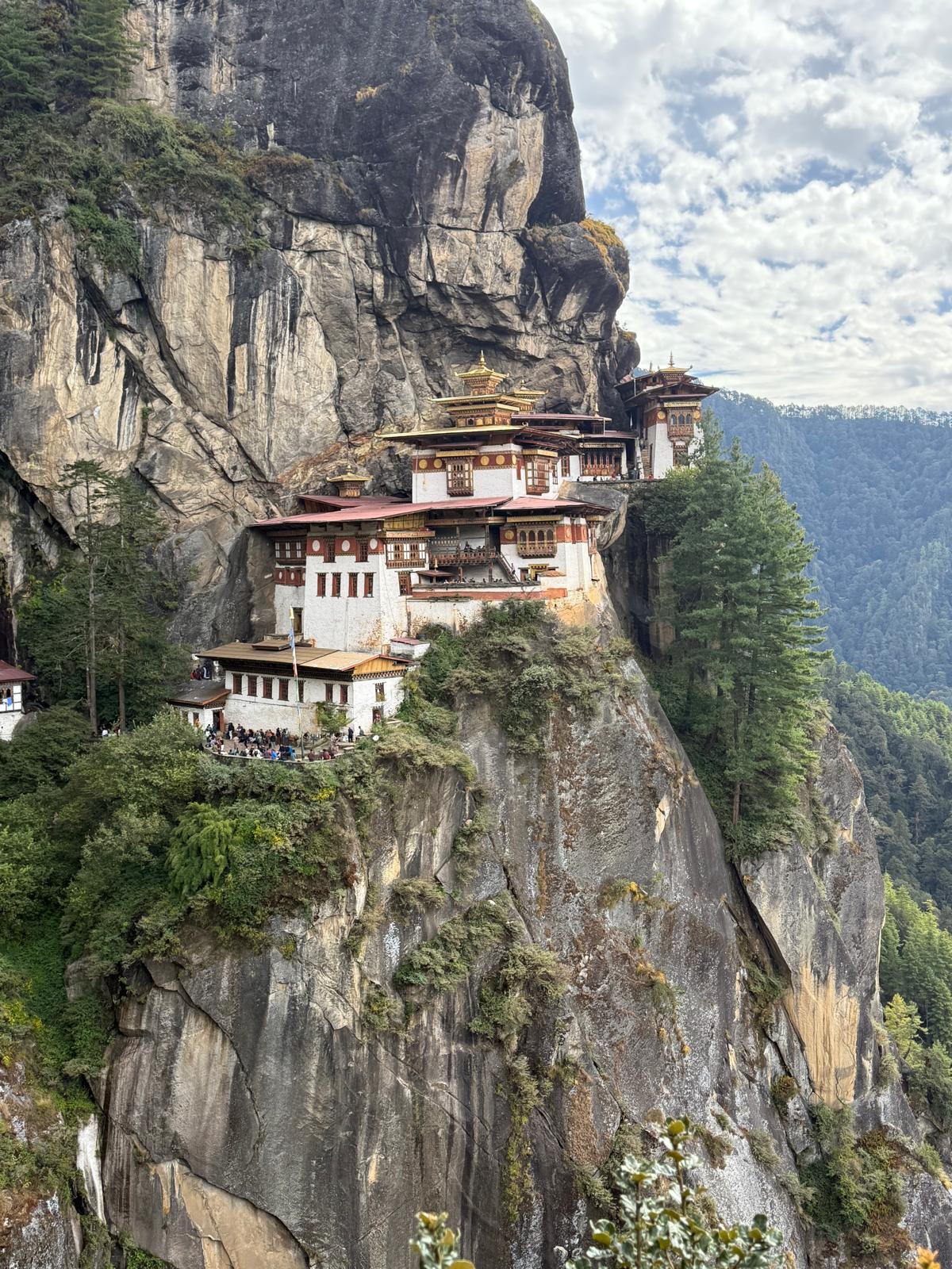 WhatsApp Image 2025-10-23 at 04.09.11