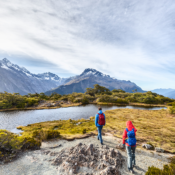 Peace of Mind Foundation: Trek for Brain Cancer