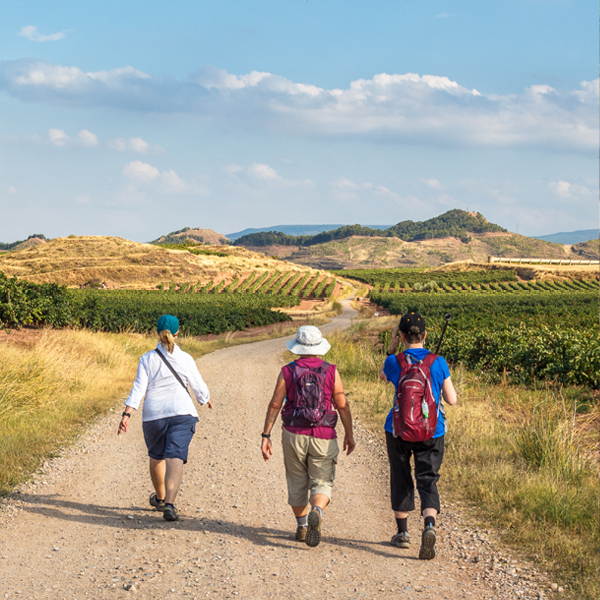 Ovarian Cancer Australia - Teal Trek: Camino de Santiago 2027