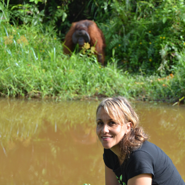 BOS Australia - Borneo Orangutan 2027