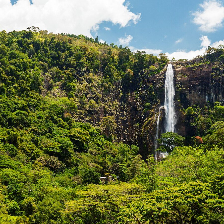 Bambarakanda Falls surrounded by lush vegetation in the distance. Sri Lanka
