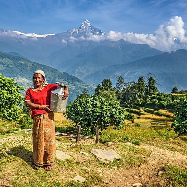 Smiling local woman with a basket in front of the Annapurna mountains