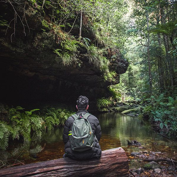 Trekker sitting on a log, looking at a creek surrounded by lush ferns and forest. Blue Mountains.