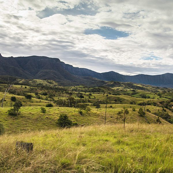 Grassy plains with mountains rising up in the distance.Cunningham's Gap, Queensland.