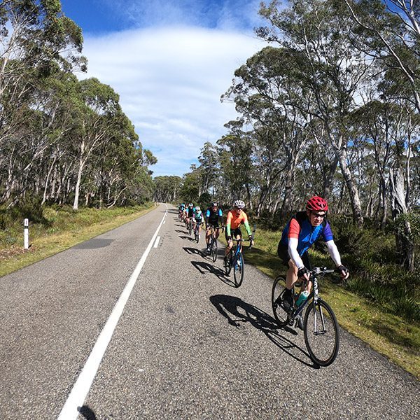 Cyclists on a highway at Tarraleah, Tasmania