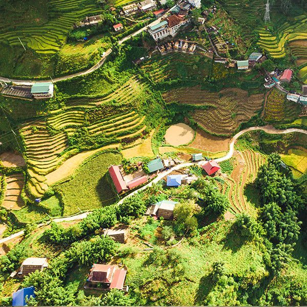 Aerial view of swirling green rice fields dotted with colourful huts. Sapa, Vietnam