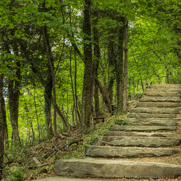 _Shenandoah National Park 600x600 _Shenandoah National Park 600x600