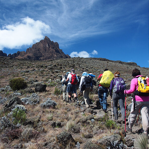 CanToo - Kilimanjaro 2026