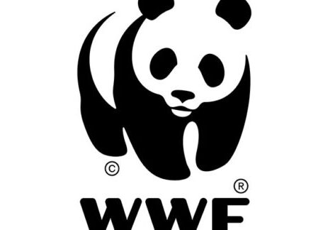 logo-600 (7)