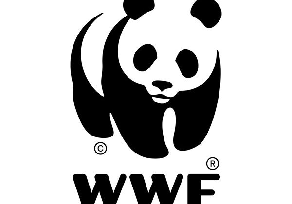 logo-600 (7)
