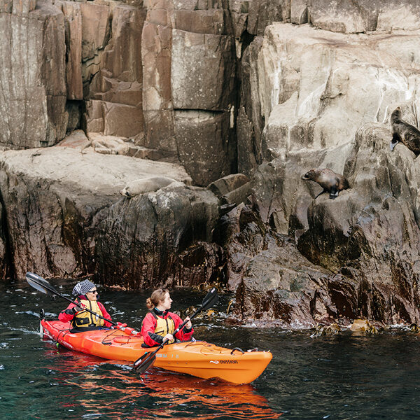 tasmania Kayak