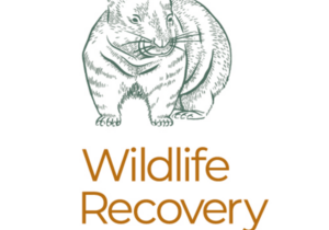 wildlife-recovery