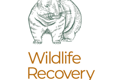 wildlife-recovery